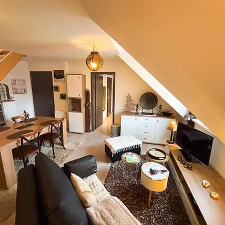 Apartman Le Petit Roswag - Parking Gratuit - Proche Gare - Commerces A Proximite Sélestat