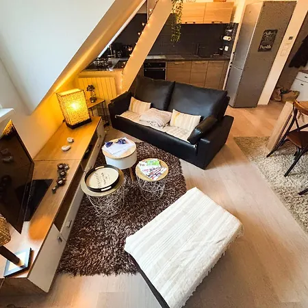 Apartment Le Petit Roswag - Parking Gratuit - Proche Gare - Commerces A Proximite Selestat