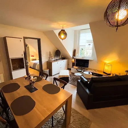 Le Petit Roswag - Parking Gratuit - Proche Gare - Commerces A Proximite Appartement Sélestat