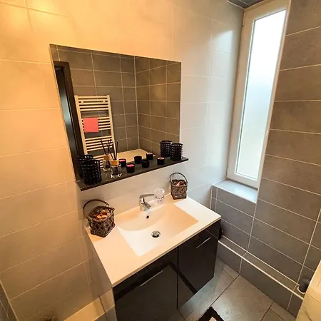 Appartement Le Petit Roswag - Parking Gratuit - Proche Gare - Commerces A Proximite Sélestat