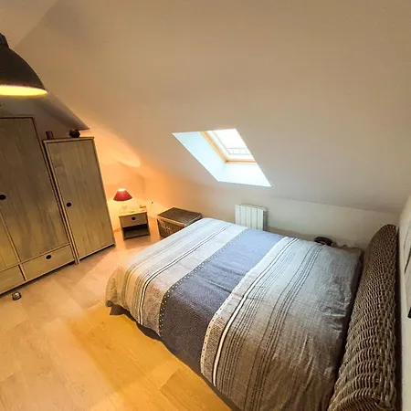 Le Petit Roswag - Parking Gratuit - Proche Gare - Commerces A Proximite Apartman Sélestat