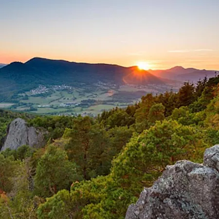 Apartmán Le Petit Roswag - Parking Gratuit - Proche Gare - Commerces A Proximite Sélestat